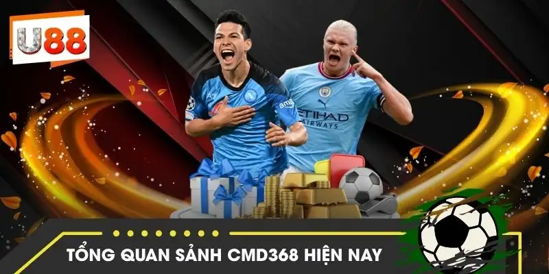 sanh-cmd368-tong-quan