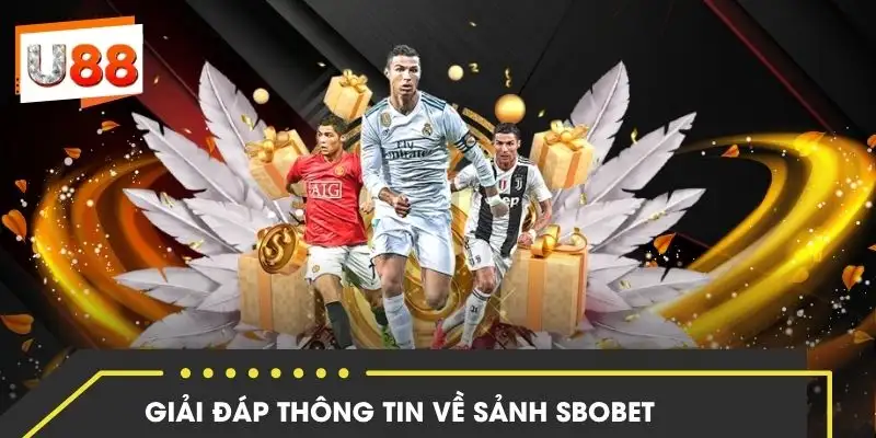 sanh-sbobet-cau-hoi-thuong-gap